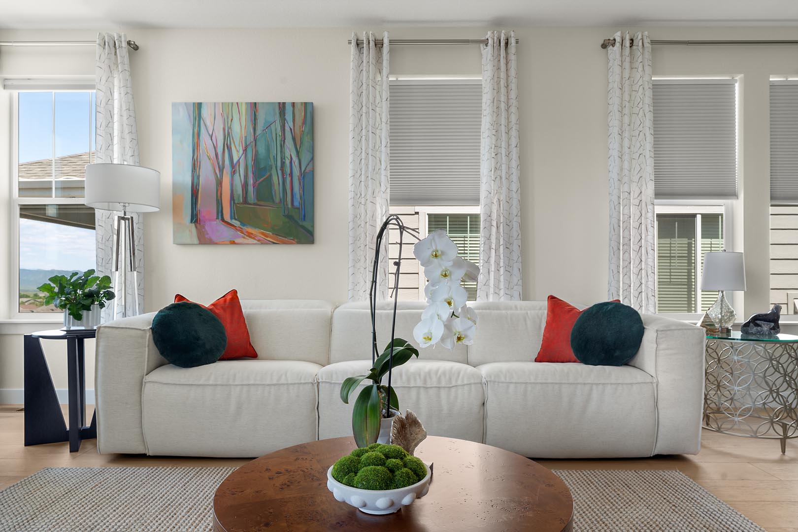 Professional Photograph of a Luxury Living Room